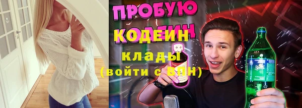 скорость Няндома