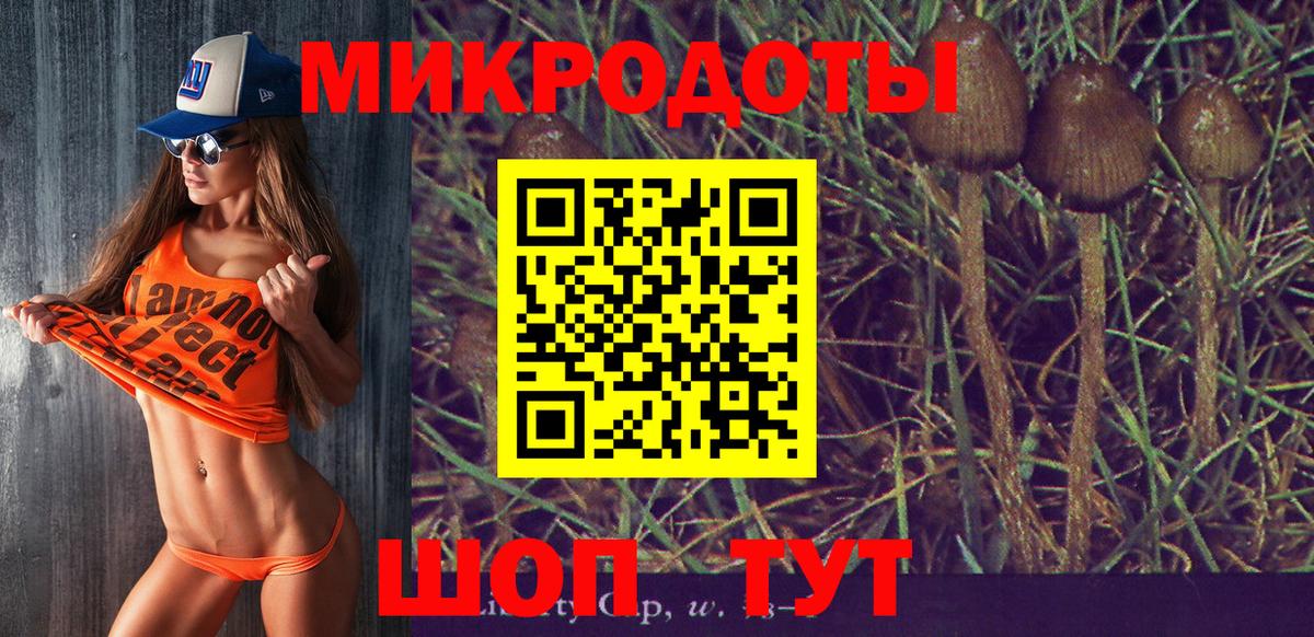Галлюциногенные грибы GOLDEN TEACHER  Галлюциногенные грибы MAGIC MUSHROOMS  Вход с VPN  Калач-на-Дону 